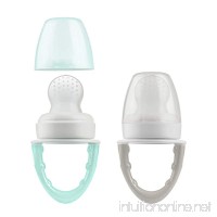 Dr. Brown's Fresh First Silicone Feeder  Mint & Grey  2 Count - B07F6VXB15
